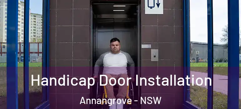 Handicap Door Installation Annangrove - NSW