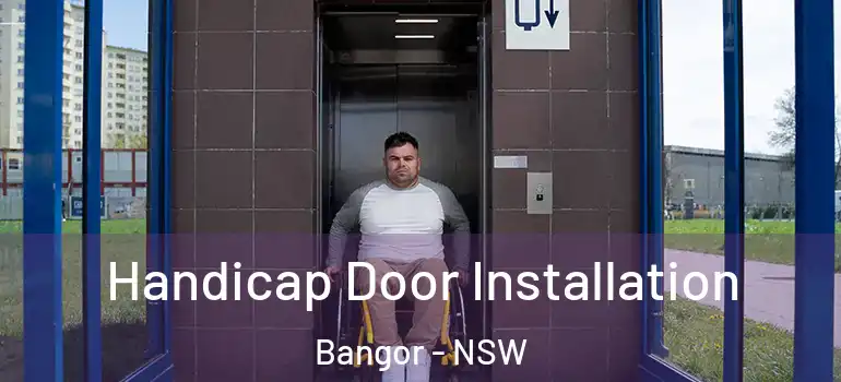 Handicap Door Installation Bangor - NSW