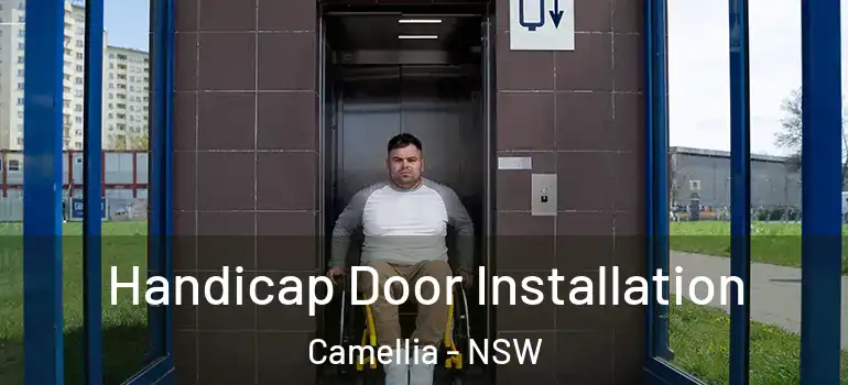 Handicap Door Installation Camellia - NSW