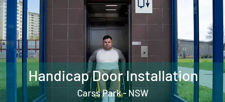 Handicap Door Installation Carss Park - NSW