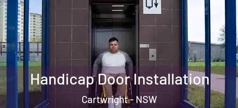  Handicap Door Installation Cartwright - NSW