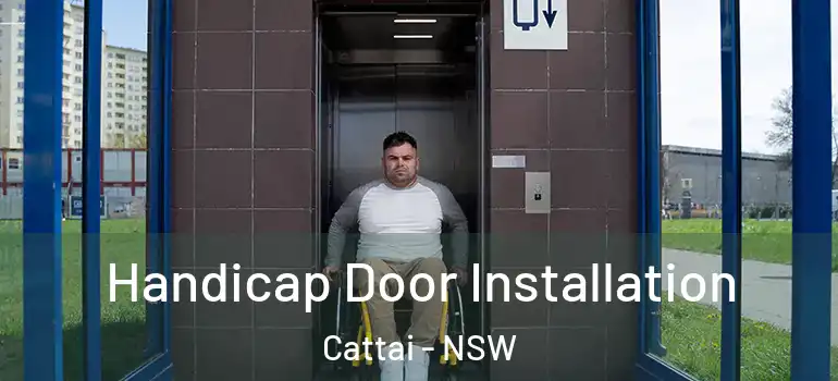 Handicap Door Installation Cattai - NSW