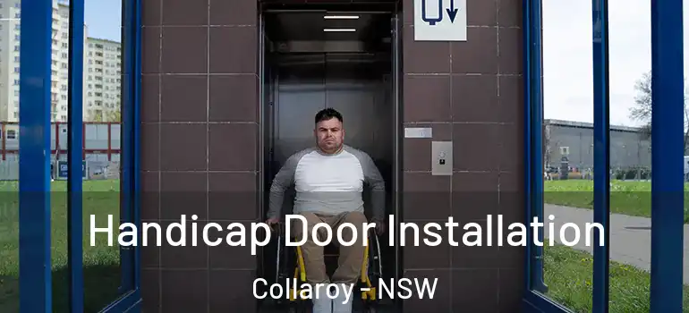 Handicap Door Installation Collaroy - NSW