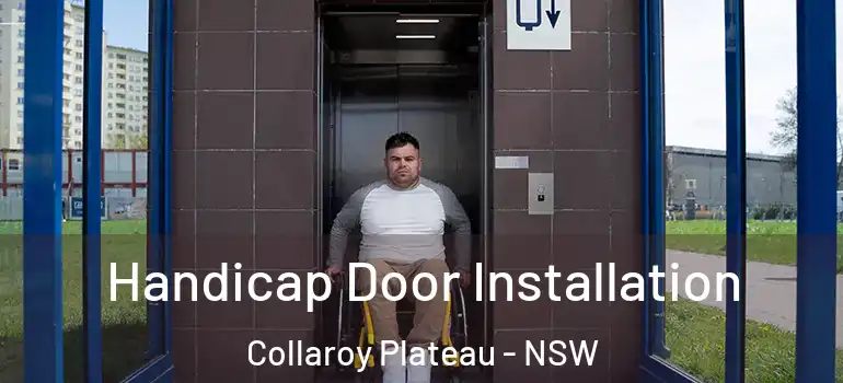 Handicap Door Installation Collaroy Plateau - NSW