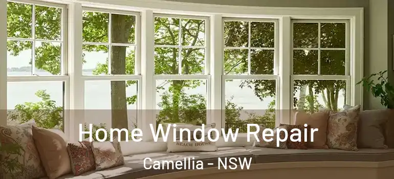 Home Window Repair Camellia - NSW