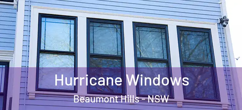 Hurricane Windows Beaumont Hills - NSW