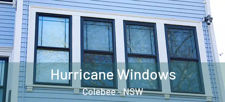 Hurricane Windows Colebee - NSW