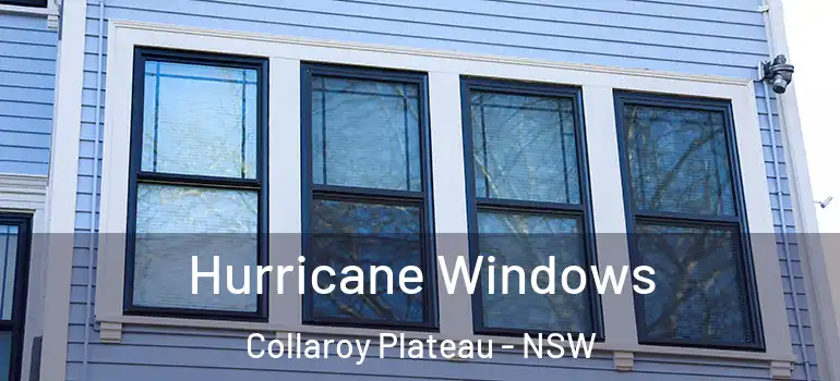 Hurricane Windows Collaroy Plateau - NSW