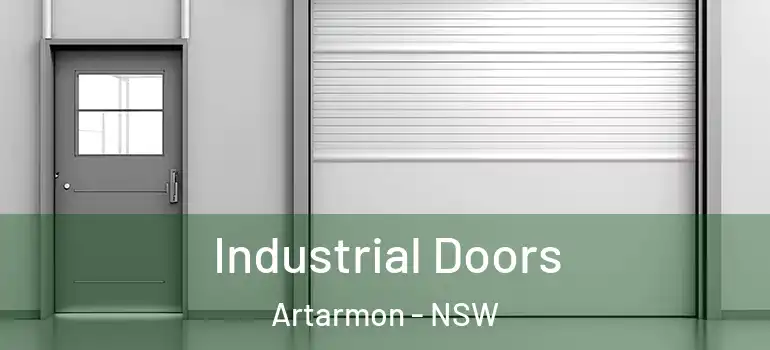 Industrial Doors Artarmon - NSW
