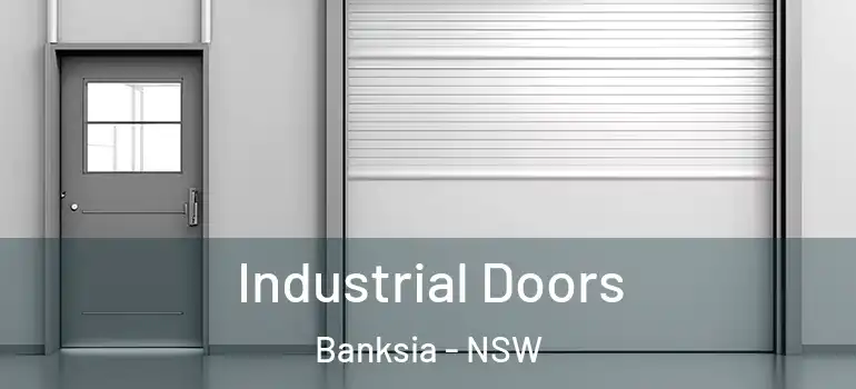 Industrial Doors Banksia - NSW