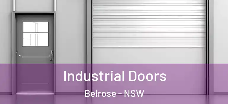 Industrial Doors Belrose - NSW