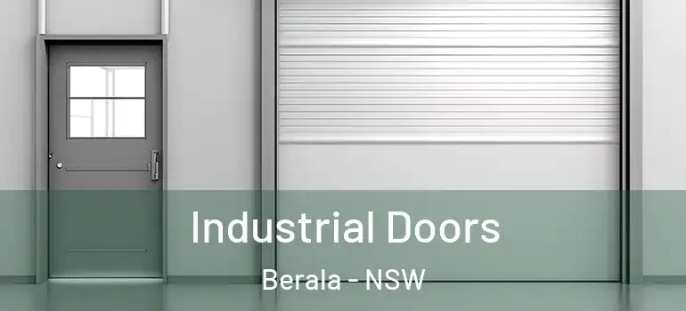 Industrial Doors Berala - NSW
