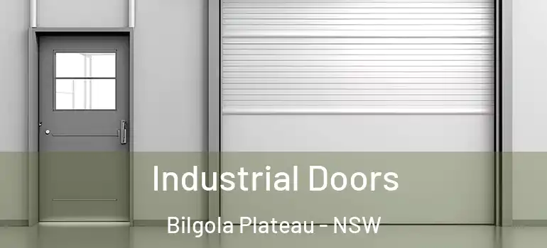 Industrial Doors Bilgola Plateau - NSW
