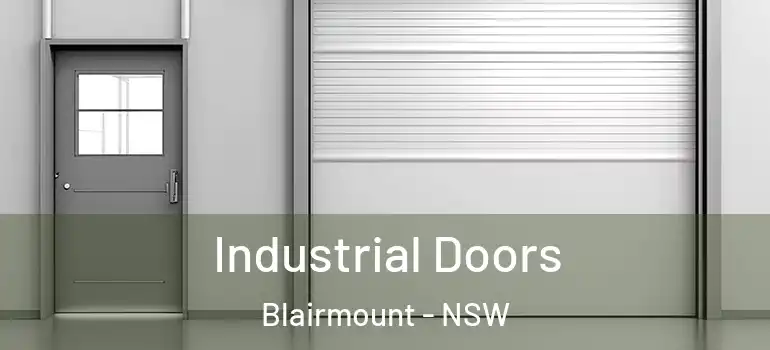 Industrial Doors Blairmount - NSW