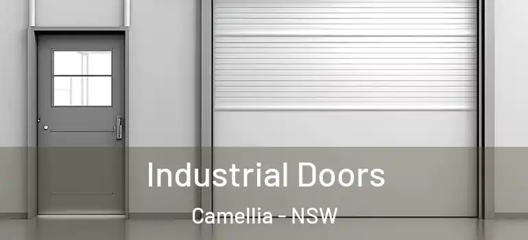 Industrial Doors Camellia - NSW
