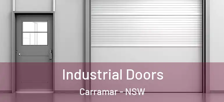 Industrial Doors Carramar - NSW