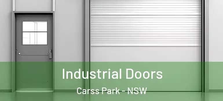 Industrial Doors Carss Park - NSW