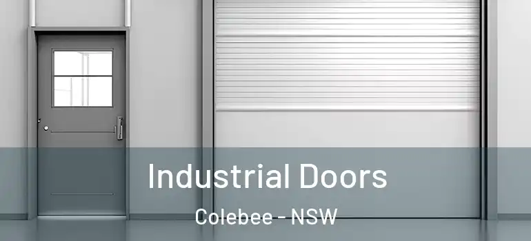 Industrial Doors Colebee - NSW