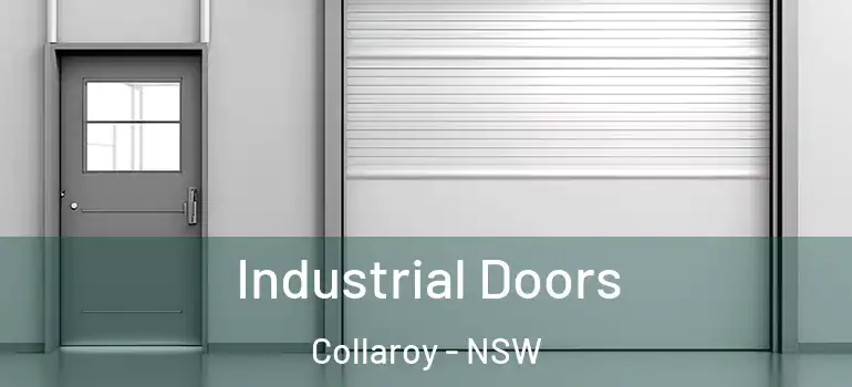 Industrial Doors Collaroy - NSW
