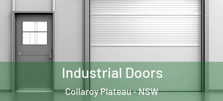 Industrial Doors Collaroy Plateau - NSW