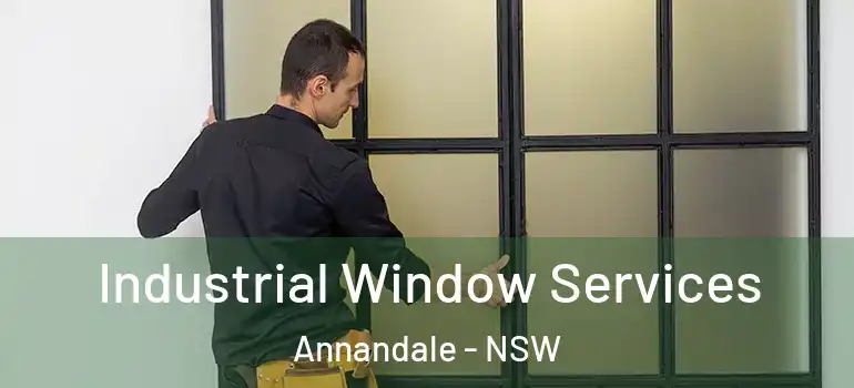 Industrial Window Services Annandale - NSW