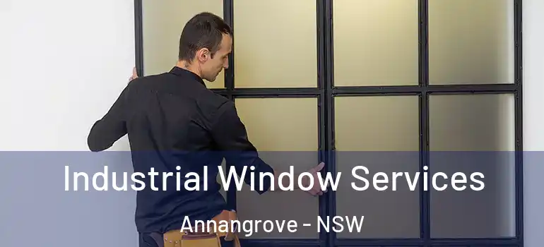 Industrial Window Services Annangrove - NSW