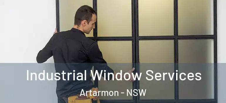  Industrial Window Services Artarmon - NSW