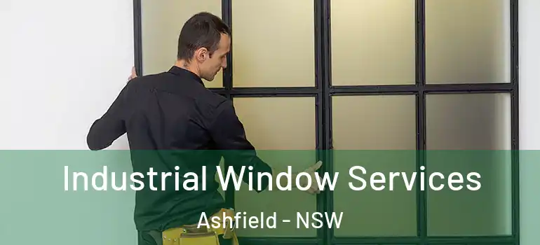 Industrial Window Services Ashfield - NSW