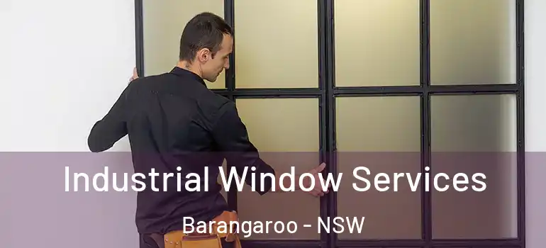 Industrial Window Services Barangaroo - NSW