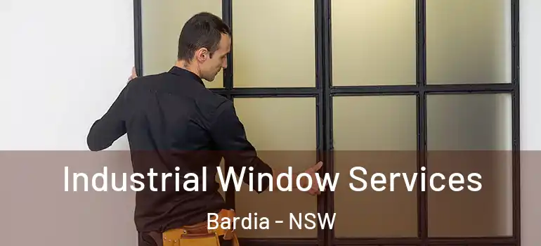 Industrial Window Services Bardia - NSW