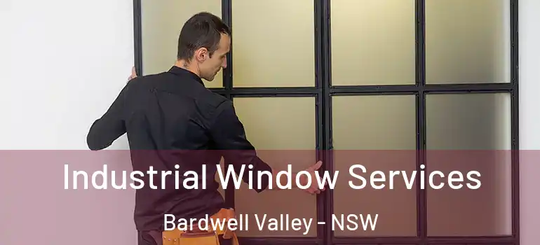Industrial Window Services Bardwell Valley - NSW