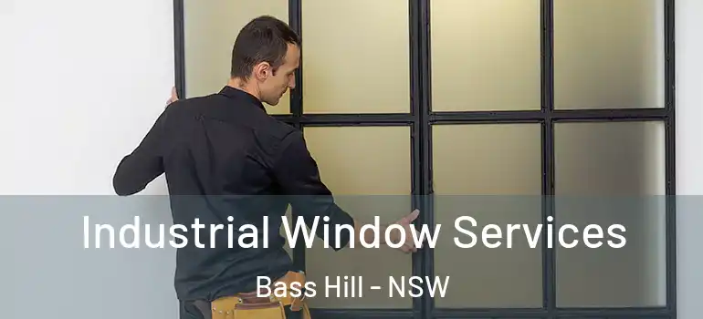 Industrial Window Services Bass Hill - NSW