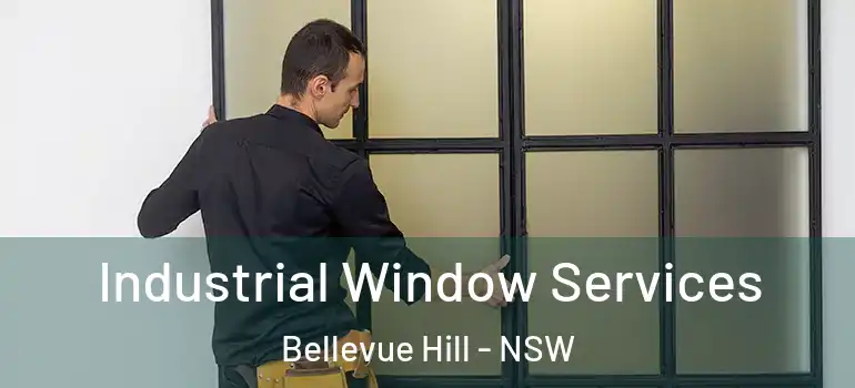 Industrial Window Services Bellevue Hill - NSW
