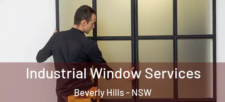  Industrial Window Services Beverly Hills - NSW