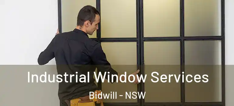 Industrial Window Services Bidwill - NSW