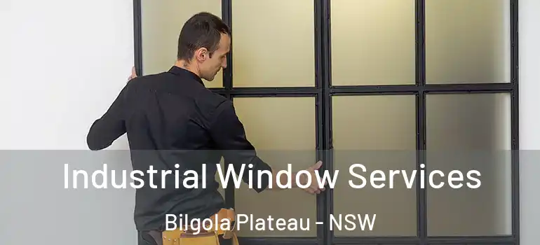 Industrial Window Services Bilgola Plateau - NSW