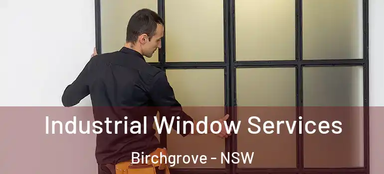Industrial Window Services Birchgrove - NSW