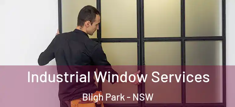 Industrial Window Services Bligh Park - NSW