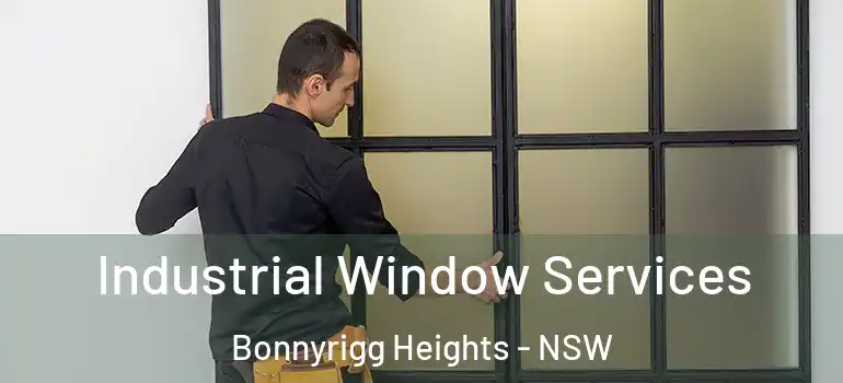 Industrial Window Services Bonnyrigg Heights - NSW