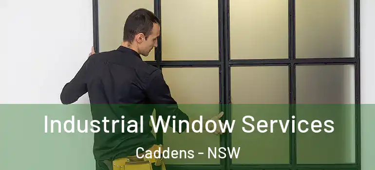 Industrial Window Services Caddens - NSW