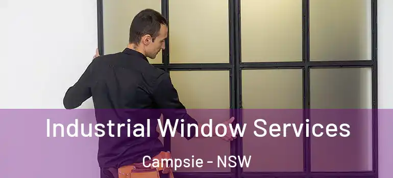 Industrial Window Services Campsie - NSW
