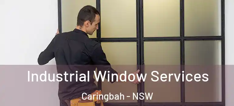  Industrial Window Services Caringbah - NSW