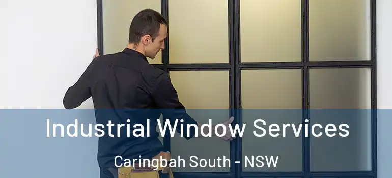  Industrial Window Services Caringbah South - NSW