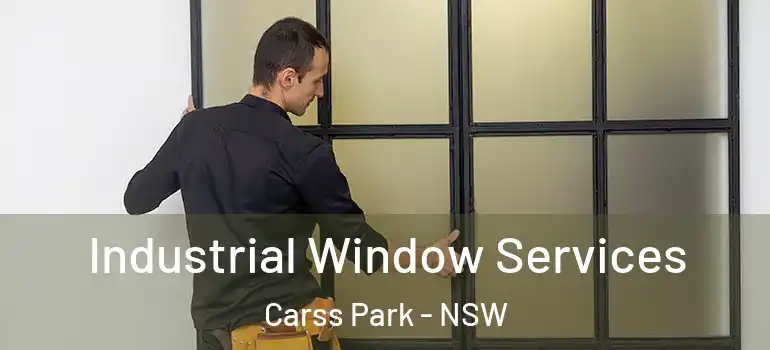  Industrial Window Services Carss Park - NSW