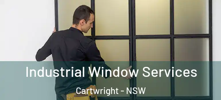 Industrial Window Services Cartwright - NSW