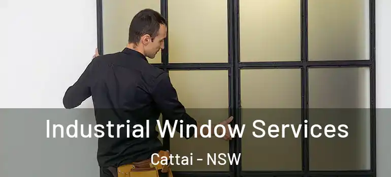 Industrial Window Services Cattai - NSW