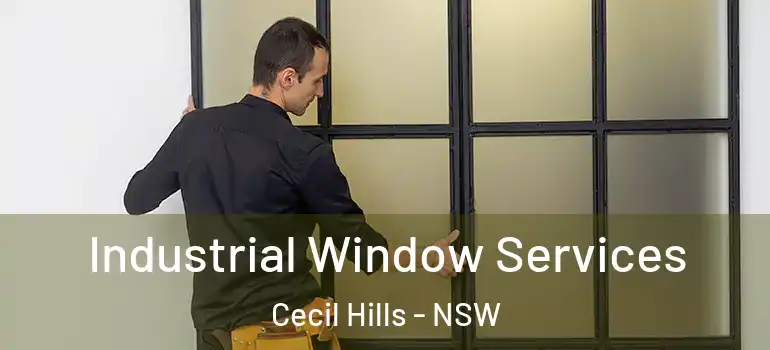  Industrial Window Services Cecil Hills - NSW