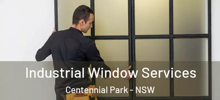 Industrial Window Services Centennial Park - NSW