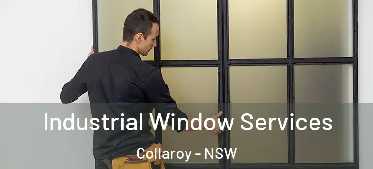  Industrial Window Services Collaroy - NSW