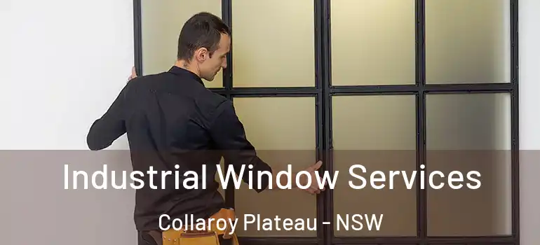 Industrial Window Services Collaroy Plateau - NSW